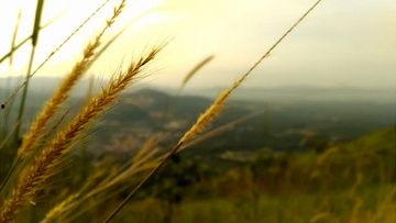 风景视频爆料大全最新版,风景视频爆料大全最新版全景呈现