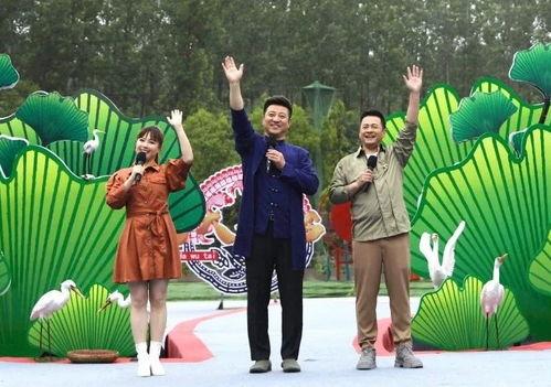 香港爆料家暴案件视频最新,悲剧重演，社会关注女性安全